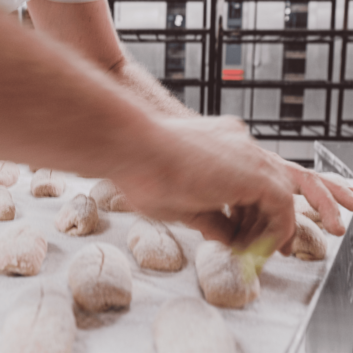 Kamut Dinkelvollkornbrötchen mit Weizenkeimen – 5er Pack (ohne Salz | ab 6 Monaten) – Baby-Backwaren ohne Salz | Lil Lui